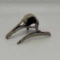 Hộp sọ Longiopteryx (Longiopteryx skull) tỉ lệ 1:1 - Thumbnail 5