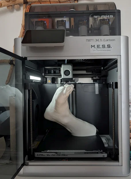 M.E.S.S. Mô hình huấn luyện bàn chân tiểu đường (không support, Lightning infill) v9 - Image 1