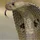 scalycobra_3460448