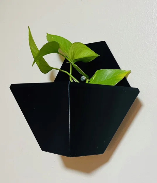 Giá treo cây cảnh gắn tường - Image 1