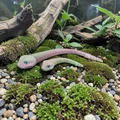 Super Flexi Snake - Tương thích mắt kính 6mm & 8mm - Thumbnail 1