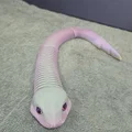 Super Flexi Snake - Tương thích mắt kính 6mm & 8mm - Thumbnail 8