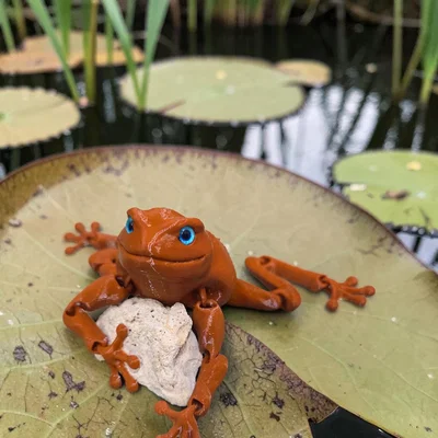 Flexi Toad v2 - Tương thích mắt kính 6mm và 8mm