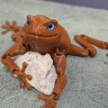 Flexi Toad v2 - Tương thích mắt kính 6mm và 8mm - Thumbnail 2