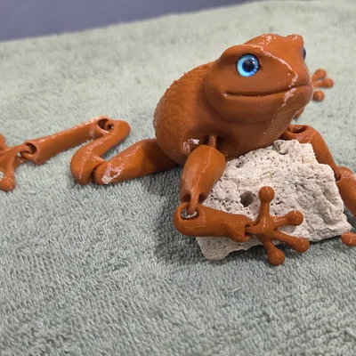 Flexi Toad v2 - Tương thích mắt kính 6mm và 8mm