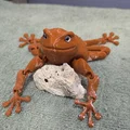 Flexi Toad v2 - Tương thích mắt kính 6mm và 8mm - Thumbnail 5