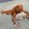 Flexi Toad v2 - Tương thích mắt kính 6mm và 8mm - Thumbnail 6