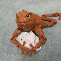 Flexi Toad v2 - Tương thích mắt kính 6mm và 8mm - Thumbnail 7