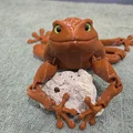 Flexi Toad v2 - Tương thích mắt kính 6mm và 8mm - Thumbnail 8