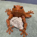 Flexi Toad v2 - Tương thích mắt kính 6mm và 8mm - Thumbnail 9