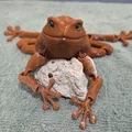 Flexi Toad v2 - Tương thích mắt kính 6mm và 8mm - Thumbnail 10
