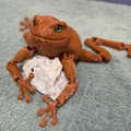 Flexi Toad v2 - Tương thích mắt kính 6mm và 8mm - Thumbnail 11