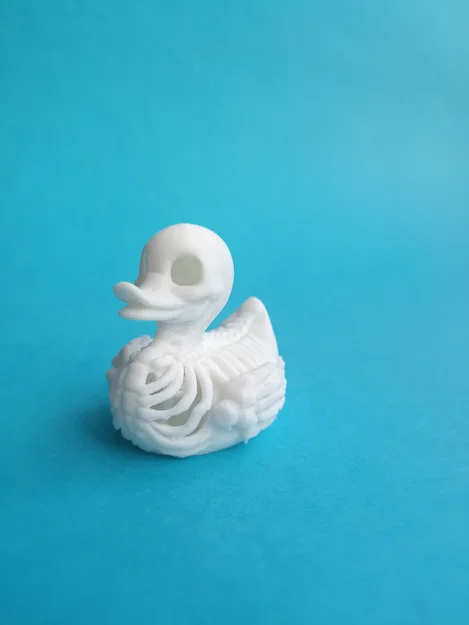 Mô hình 3D chú vịt bộ xương (Duck Skeleton) độc đáo cho trang trí - Image 2