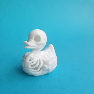 Mô hình 3D chú vịt bộ xương (Duck Skeleton) độc đáo cho trang trí
