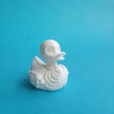 Mô hình 3D chú vịt bộ xương (Duck Skeleton) độc đáo cho trang trí