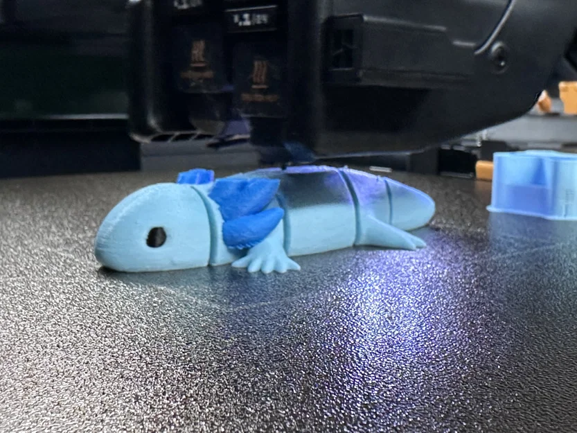 Articulated Axolotl Blue – Sinh Vật Flexi Mũm Mĩm - Image 7