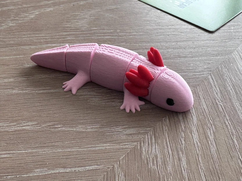 Axolotl Khớp Nối – Sinh Vật Dẻo Dai Mũm Mĩm - Image 3