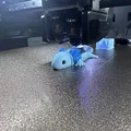 Axolotl Khớp Nối – Sinh Vật Dẻo Dai Mũm Mĩm - Thumbnail 5
