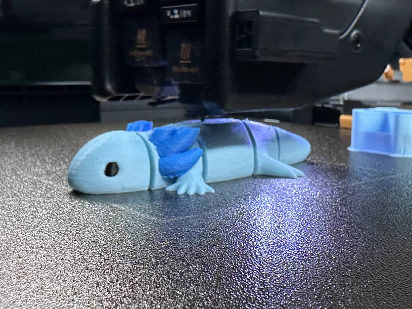 Axolotl Khớp Nối – Sinh Vật Dẻo Dai Mũm Mĩm - Image 6