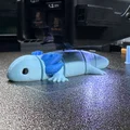 Axolotl Khớp Nối – Sinh Vật Dẻo Dai Mũm Mĩm - Thumbnail 6