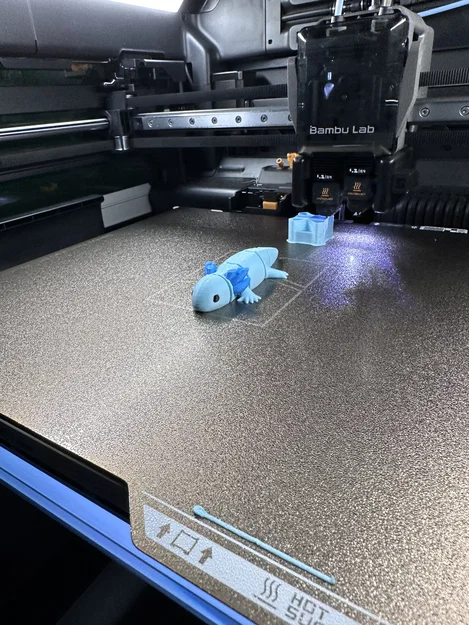 Axolotl Khớp Nối – Sinh Vật Dẻo Dai Mũm Mĩm - Image 7