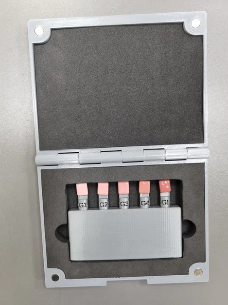 Dental Custom Shade Guide V1 - Bộ hướng dẫn chọn màu răng tùy chỉnh - Image 1