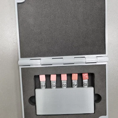 Dental Custom Shade Guide V1 - Bộ hướng dẫn chọn màu răng tùy chỉnh