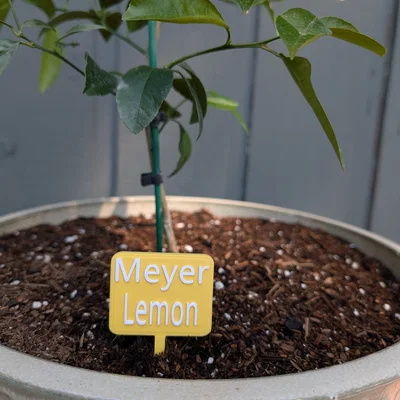 Thẻ Cắm Chậu Cây Chanh Meyer – Bảng Tên Đánh Dấu Vườn
