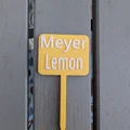 Thẻ Cắm Chậu Cây Chanh Meyer – Bảng Tên Đánh Dấu Vườn - Thumbnail 2