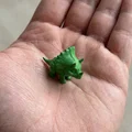 Cute Triceratops Mini – Mô hình Khủng long nhỏ đáng yêu - Thumbnail 3