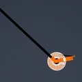SweetGum Sweeper - Dụng cụ thu gom quả cây vườn nhà - Thumbnail 4