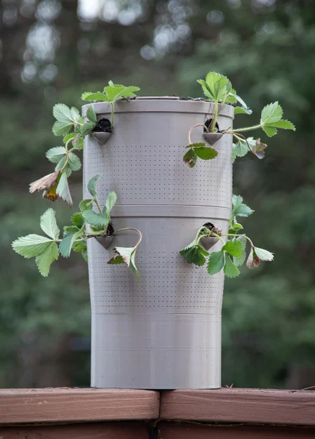 Chậu cây tự tưới siêu cấp (Super Self Watering Planter) - Image 1