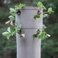 Chậu cây tự tưới siêu cấp (Super Self Watering Planter) - Thumbnail 1