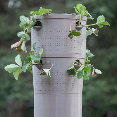 Chậu cây tự tưới siêu cấp (Super Self Watering Planter)