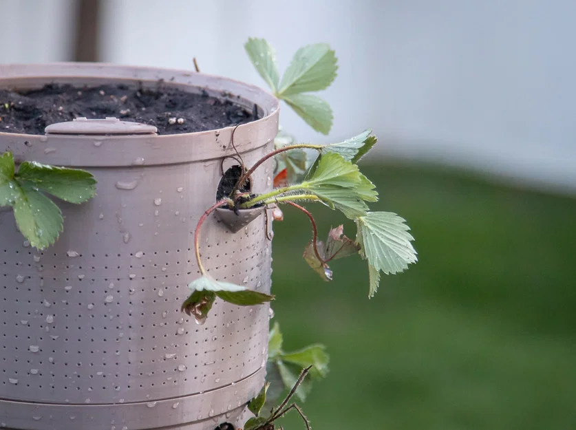 Chậu cây tự tưới siêu cấp (Super Self Watering Planter) - Image 2