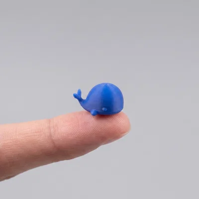 Mini Whale Buddy - Chú cá voi nhỏ nhắn đáng yêu