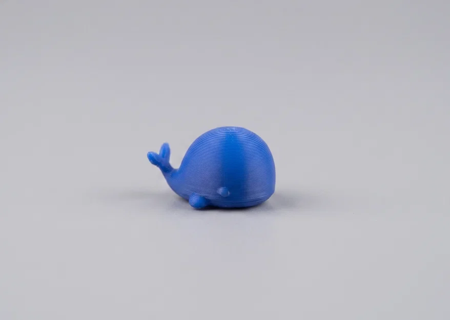 Mini Whale Buddy - Chú cá voi nhỏ nhắn đáng yêu - Image 2