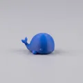 Mini Whale Buddy - Chú cá voi nhỏ nhắn đáng yêu - Thumbnail 2