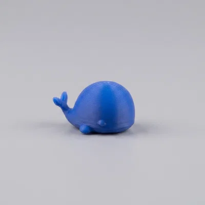 Mini Whale Buddy - Chú cá voi nhỏ nhắn đáng yêu