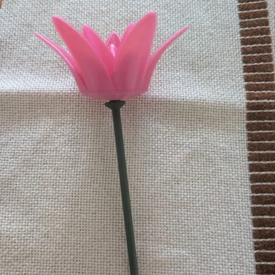 Fleur / Bông Hoa