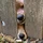 DRobertson_795122