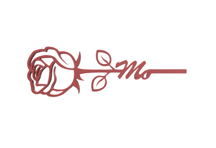 HOA HỒNG ĐỨNG CHO NGÀY CỦA MẸ HOẶC VALENTINE - Image 30