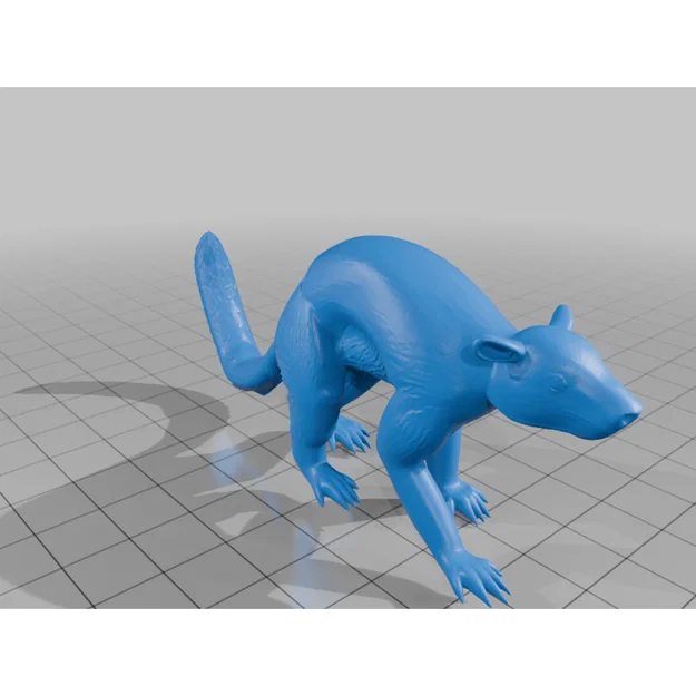 Mô hình 3D Plesiadapis - Tổ tiên loài linh trưởng thời tiền sử - Image 1
