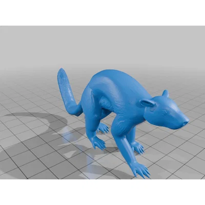 Mô hình 3D Plesiadapis - Tổ tiên loài linh trưởng thời tiền sử