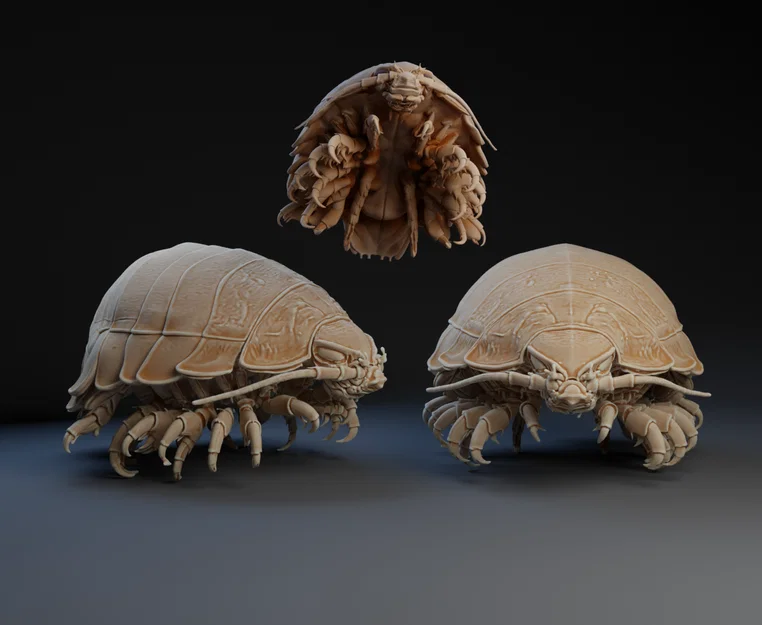 Mô hình Rận ăn lưỡi (Tongue-eating louse) - Image 1