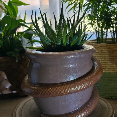 Chậu cây cảnh trang trí hình rắn quấn - Thiết kế 3D ấn tượng