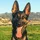 ErnestasVai_465342