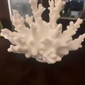 Mô hình trang trí san hô in 3D (Coral Decoration) cực đẹp - Thumbnail 1