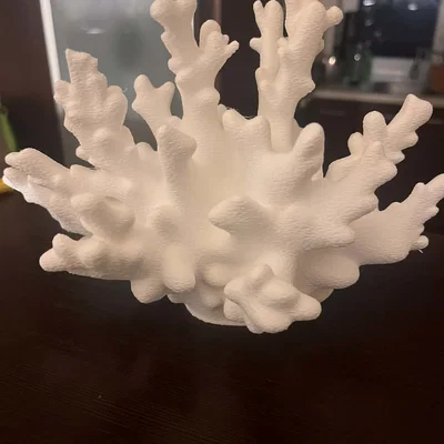Mô hình trang trí san hô in 3D (Coral Decoration) cực đẹp