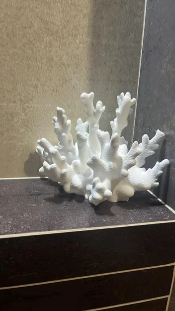 Mô hình trang trí san hô in 3D (Coral Decoration) cực đẹp - Image 2